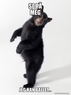Super Bear'd