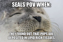 Satisfied Seal