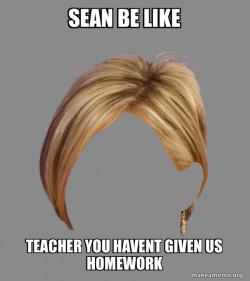The Karen Hair