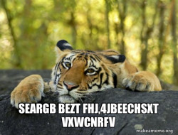 Confession Tiger