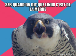 Millennial Falcon