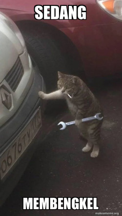 Mechanic Cat
