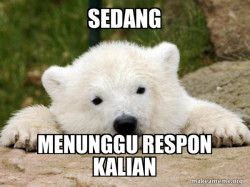 Popular Opinion Bear