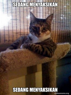 Kucing