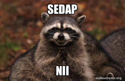 Evil Plotting Raccoon