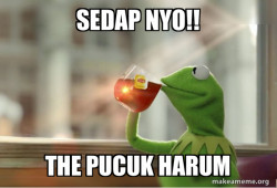 Kermit Drinking Tea
