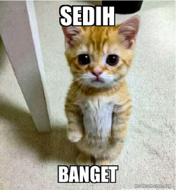 Cute Cat Standing