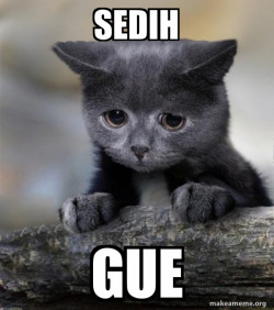 Confession Cat