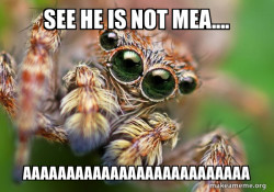 Hipster Spider