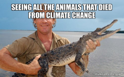 Steve irwin