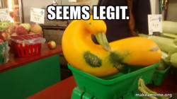 It's probably just a weird duck