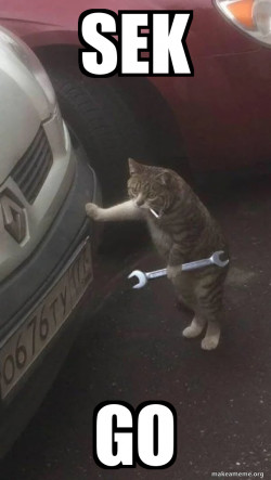 Mechanic Cat