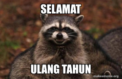 Evil Plotting Raccoon