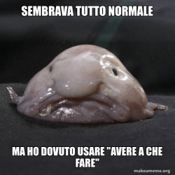 Blobfish
