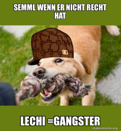 Scumbag dog