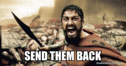 The 300
