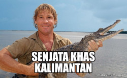 Steve irwin