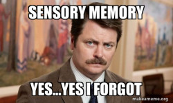Ron Swanson : I am a Simple Man