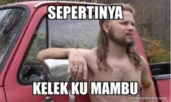 Almost Politically Correct Redneck