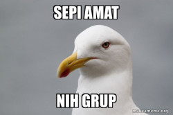 Stuff That Didn't Happen Seagull