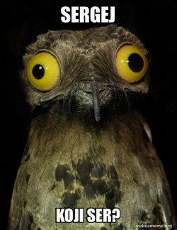 Weird Stuff I do Potoo