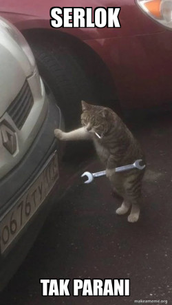 Mechanic Cat