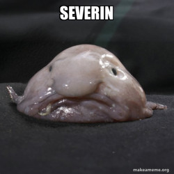 Blobfish