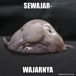 Blobfish