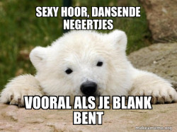 Popular Opinion Bear