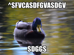 Zen Advice Mallard