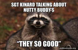 Evil Plotting Raccoon