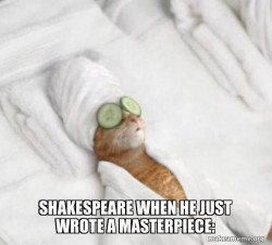 Pampered Cat Meme