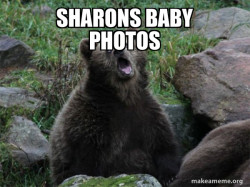 Sarcastic Bear