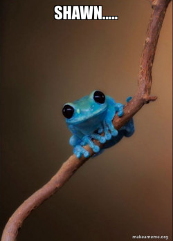Small Fact Frog
