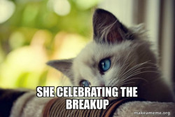 First World Cat Problems
