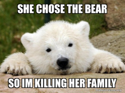 Popular Opinion Bear