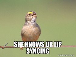 Common Opinion Sparrow