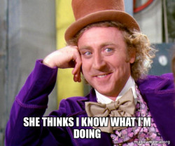 Willy Wonka Sarcasm Meme