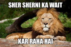 Contemplative Lion