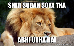 Confession Lion