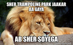 Confession Lion