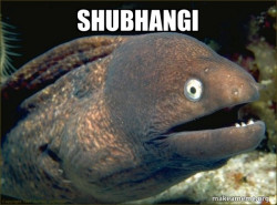 Bad Joke Eel