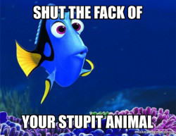 Dory from Nemo  (5 second memory)