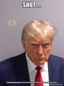 Donald Trump Mugshot