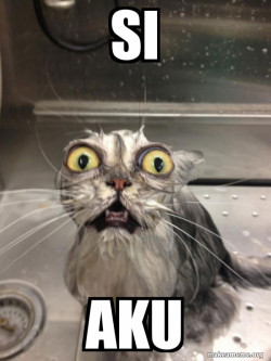 Cat bath