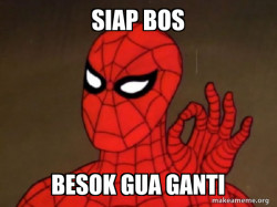 Spiderman - Care factor Zero