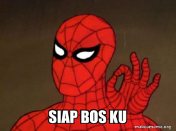 Spiderman - Care factor Zero