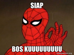 Spiderman - Care factor Zero