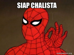 Spiderman - Care factor Zero