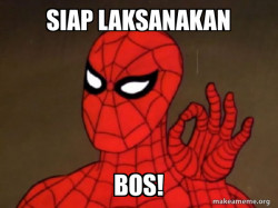 Spiderman - Care factor Zero